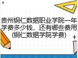 贵州铜仁数据职业学院一年学费多少钱，还有哪些费用(铜仁数据学院学费)