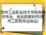 贵州工业职业技术学院有哪些专业，就业前景如何(贵州工职院专业就业)