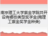 南京理工大学紫金学院共开设有哪些类型奖学金(南理工紫金奖学金种类)