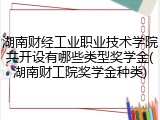 湖南财经工业职业技术学院共开设有哪些类型奖学金(湖南财工院奖学金种类)