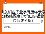 山东铝业职业学院历年录取分数线深度分析(山东铝业录取线分析)
