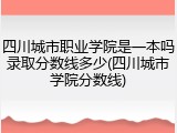 四川城市职业学院是一本吗录取分数线多少(四川城市学院分数线)