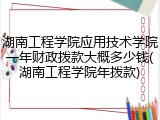 湖南工程学院应用技术学院一年财政拨款大概多少钱(湖南工程学院年拨款)
