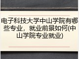 电子科技大学中山学院有哪些专业，就业前景如何(中山学院专业就业)