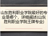 山东胜利职业学院最好的专业是哪个，详细阐述(山东胜利职业学院王牌专业)