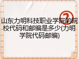 山东力明科技职业学院的院校代码和邮编是多少(力明学院代码邮编)