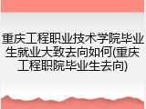重庆工程职业技术学院毕业生就业大致去向如何(重庆工程职院毕业生去向)