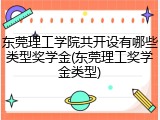东莞理工学院共开设有哪些类型奖学金(东莞理工奖学金类型)