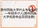 贵州民族大学什么专业最好，一年招多少人(贵州民族大学优势专业及招生数)