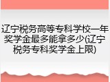 辽宁税务高等专科学校一年奖学金最多能拿多少(辽宁税务专科奖学金上限)