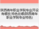 陕西青年职业学院专业开设有哪些,特色在哪(陕西青年职业学院专业特色)