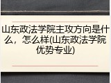 山东政法学院主攻方向是什么，怎么样(山东政法学院优势专业)