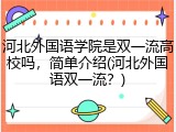 河北外国语学院是双一流高校吗，简单介绍(河北外国语双一流？)