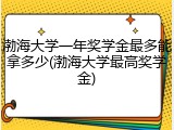 渤海大学一年奖学金最多能拿多少(渤海大学最高奖学金)