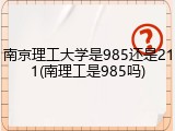 南京理工大学是985还是211(南理工是985吗)