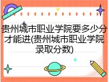 贵州城市职业学院要多少分才能进(贵州城市职业学院录取分数)