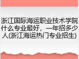 浙江国际海运职业技术学院什么专业最好，一年招多少人(浙江海运热门专业招生)