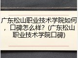 广东松山职业技术学院如何，口碑怎么样？(广东松山职业技术学院口碑)