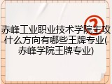 赤峰工业职业技术学院主攻什么方向有哪些王牌专业(赤峰学院王牌专业)