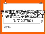 武昌理工学院就读期间可以申请哪些奖学金(武昌理工奖学金申请)