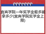 宜宾学院一年奖学金最多能拿多少(宜宾学院奖学金上限)