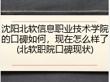 沈阳北软信息职业技术学院的口碑如何，现在怎么样了(北软职院口碑现状)