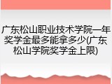 广东松山职业技术学院一年奖学金最多能拿多少(广东松山学院奖学金上限)