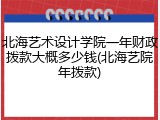 北海艺术设计学院一年财政拨款大概多少钱(北海艺院年拨款)