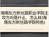 海南东方新丝路职业学院主攻方向是什么，怎么样(海南东方新丝路学院特色)