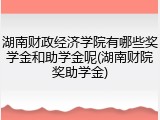 湖南财政经济学院有哪些奖学金和助学金呢(湖南财院奖助学金)