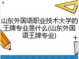山东外国语职业技术大学的王牌专业是什么(山东外国语王牌专业)