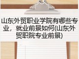 山东外贸职业学院有哪些专业，就业前景如何(山东外贸职院专业前景)