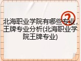 北海职业学院有哪些专业，王牌专业分析(北海职业学院王牌专业)