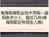 青海高等职业技术学院一届招收多少人，最近几年(青海高职近年招生人数)