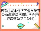 石家庄城市经济职业学院开设有哪些奖学和助学金(石经院奖助学金项目)