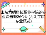 山东力明科技职业学院的专业设置概况介绍(力明学院专业概览)