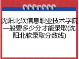 沈阳北软信息职业技术学院一般要多少分才能录取(沈阳北软录取分数线)