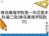 青岛黄海学院是一本还是本科第二批(青岛黄海学院批次)
