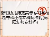 衡阳幼儿师范高等专科学校是专科还是本科院校呢(衡阳幼师专科吗)