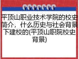 平顶山职业技术学院的校史简介，什么历史与社会背景下建校的(平顶山职院校史背景)
