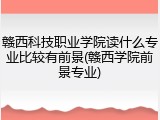 赣西科技职业学院读什么专业比较有前景(赣西学院前景专业)