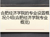 合肥经济学院的专业设置概况介绍(合肥经济学院专业概览)