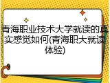 青海职业技术大学就读的真实感觉如何(青海职大就读体验)