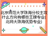 北京师范大学珠海分校主攻什么方向有哪些王牌专业(北师大珠海优势专业)