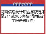 河南信息统计职业学院是不是211或985高校(河南统计学院是985吗)