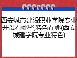 西安城市建设职业学院专业开设有哪些,特色在哪(西安城建学院专业特色)