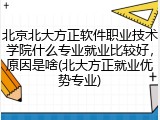 北京北大方正软件职业技术学院什么专业就业比较好，原因是啥(北大方正就业优势专业)