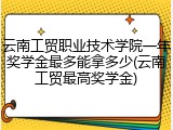云南工贸职业技术学院一年奖学金最多能拿多少(云南工贸最高奖学金)