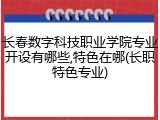 长春数字科技职业学院专业开设有哪些,特色在哪(长职特色专业)