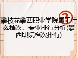 攀枝花攀西职业学院属于什么档次，专业排行分析(攀西职院档次排行)
